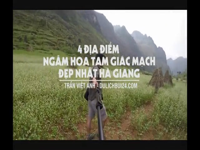 4 điểm ngắm hoa tam giác mạch đẹp nhất Hà Giang