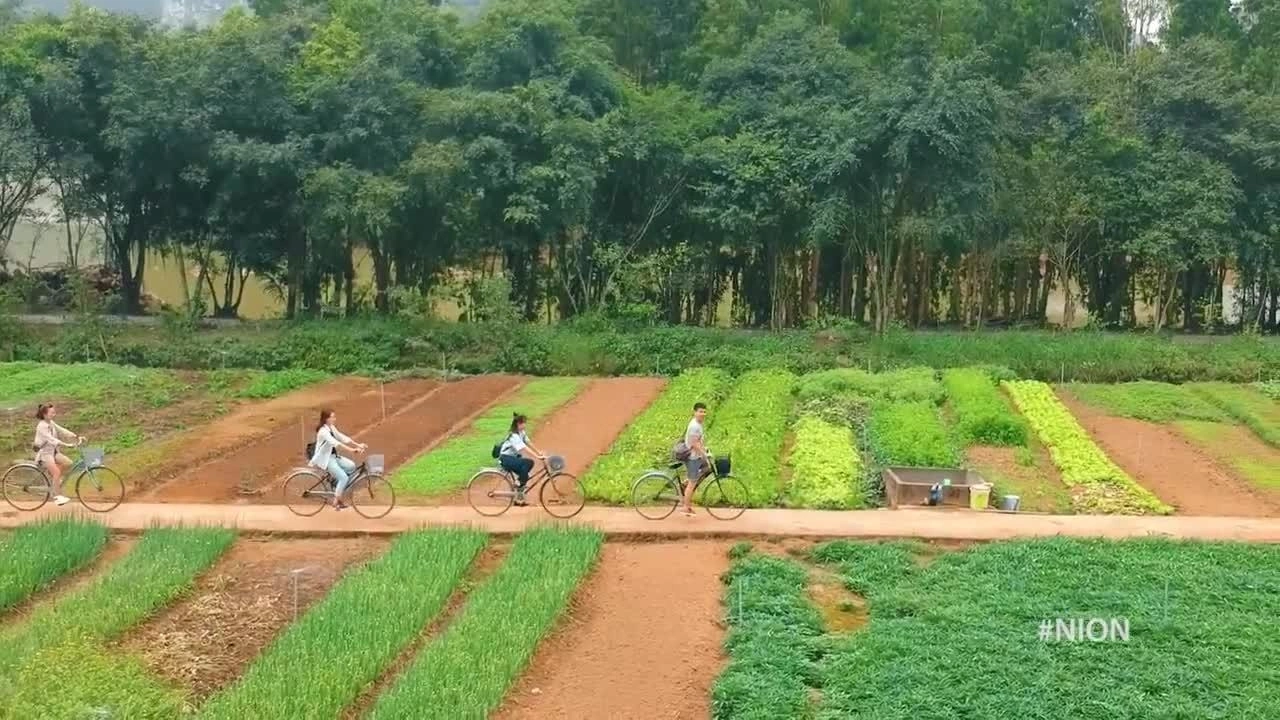 7 điểm đến hấp dẫn ở Ninh Bình dịp 30/4