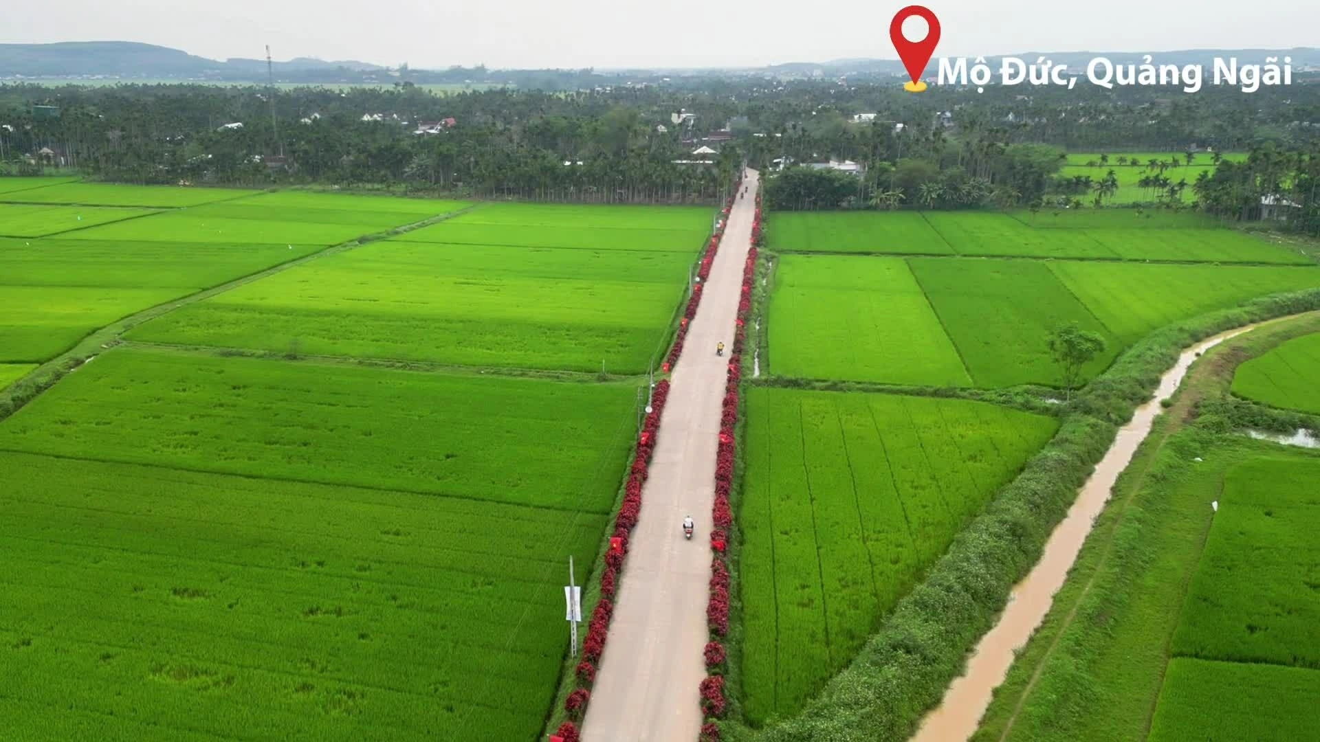 Đường quê Quảng Ngãi phủ sắc hoa