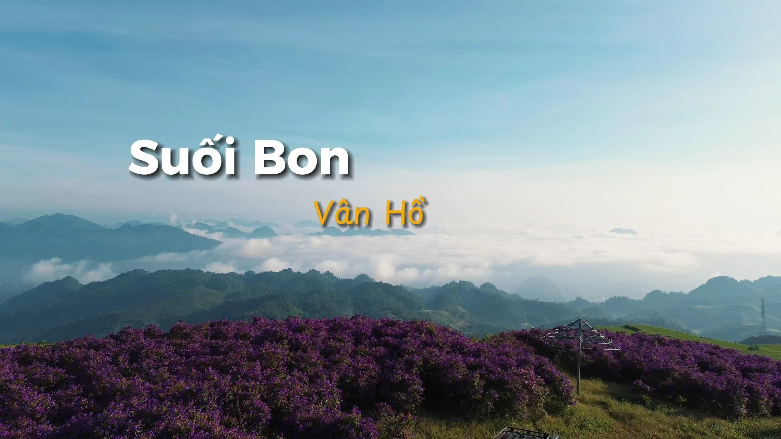 Đồi hoa mua tím Sơn La