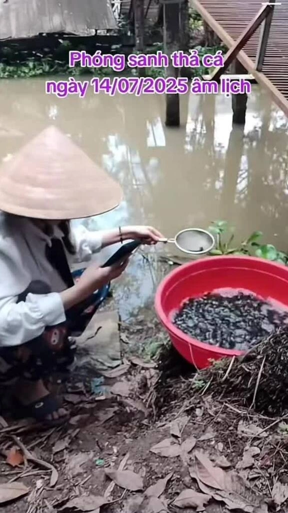 Phóng sinh trên livestream