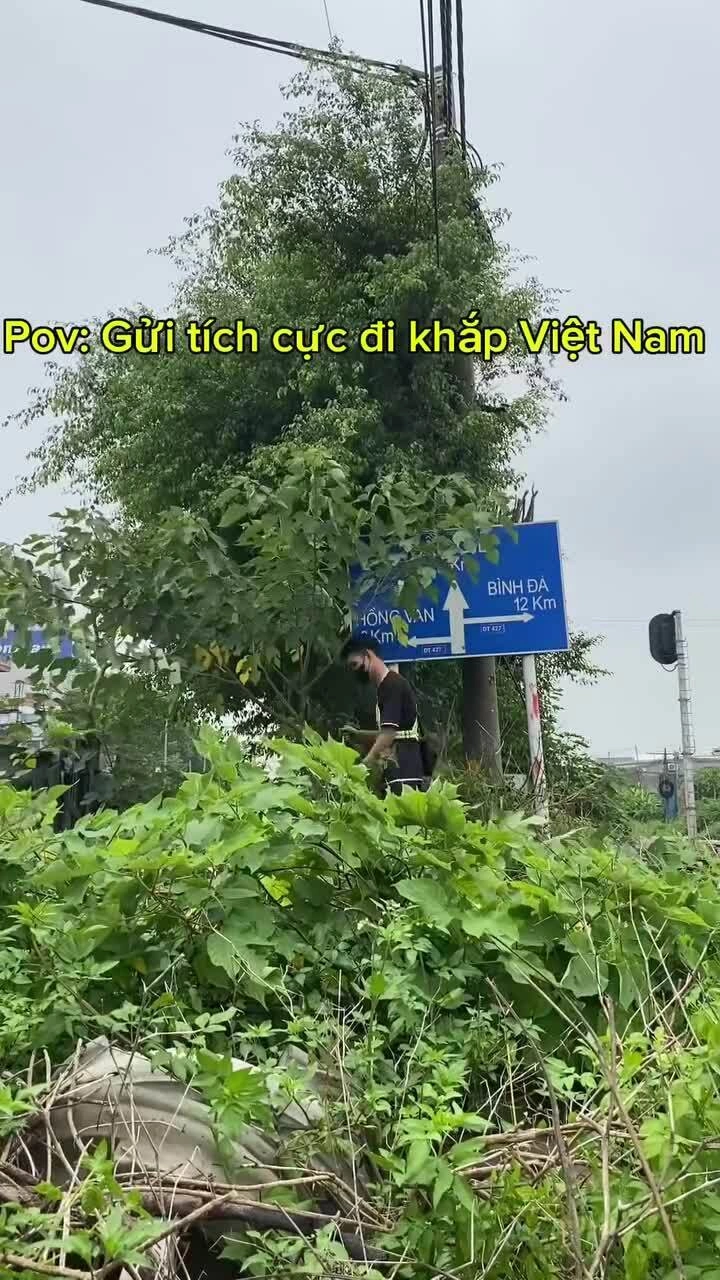 Người trẻ 'rủ nhau' xách máy cắt cỏ dọn vỉa hè