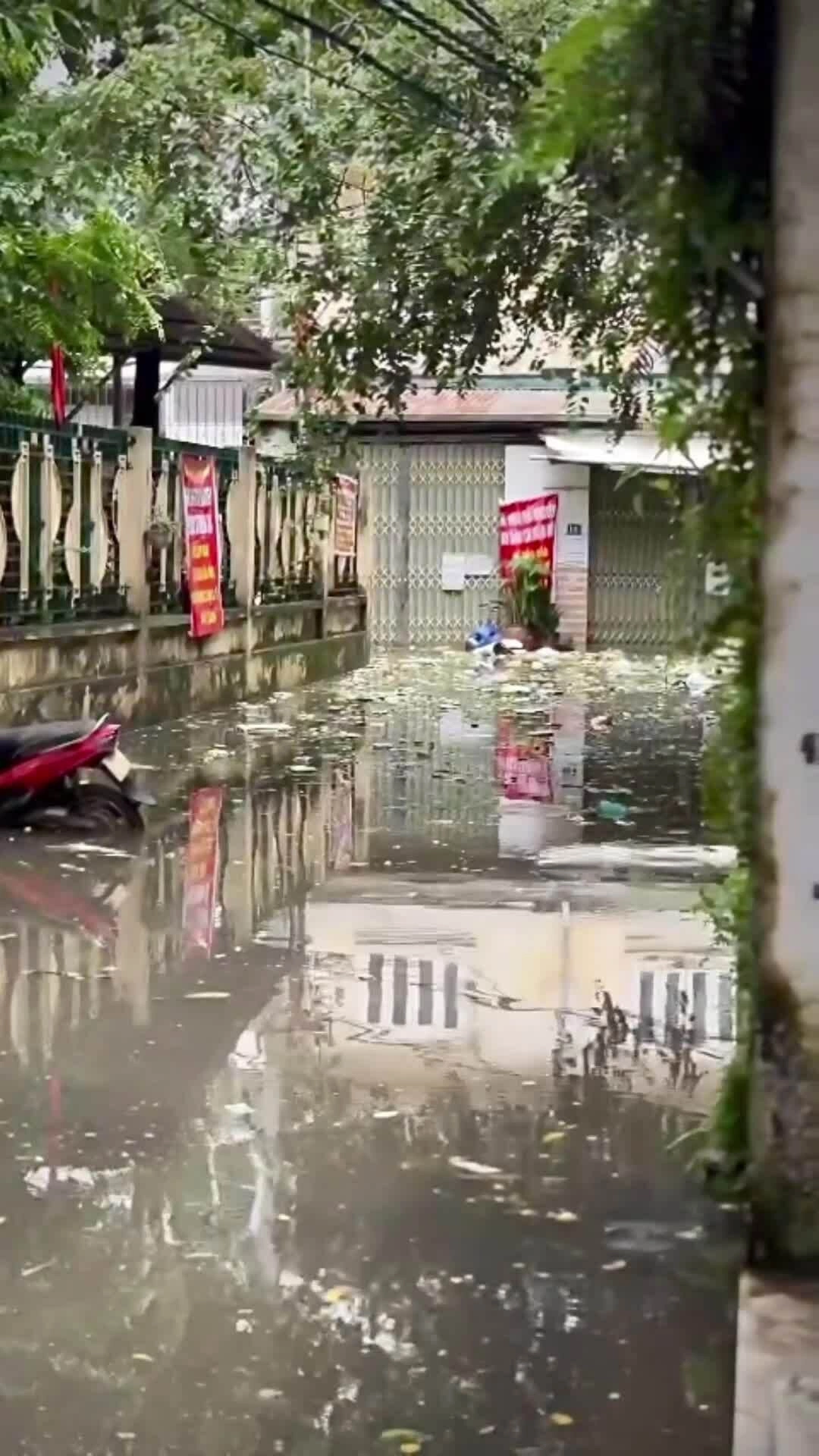 Cuộc sống đảo lộn trong ngõ 'hễ mưa là ngập rác' ở thủ đô