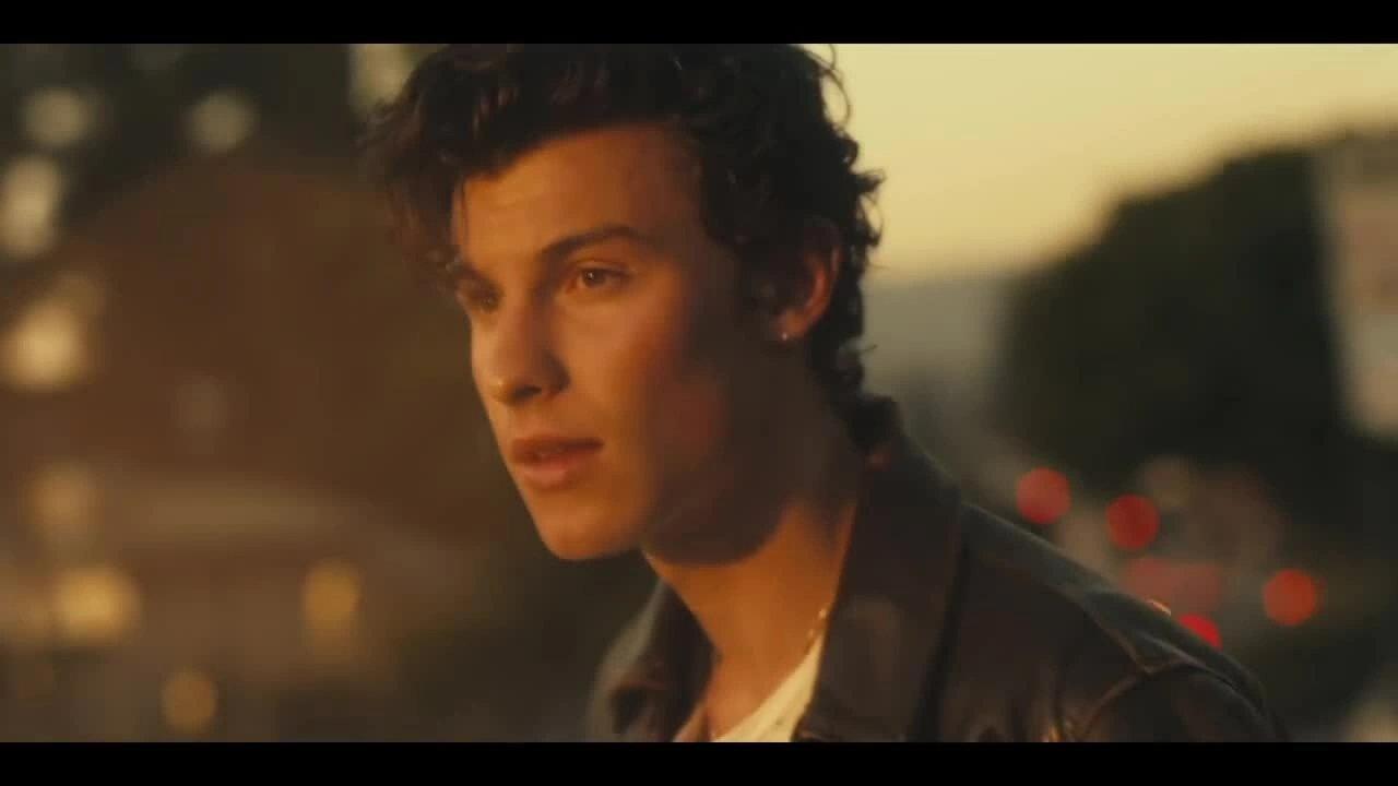 MV Senorita của Shawn Mendes, Camila Cabello