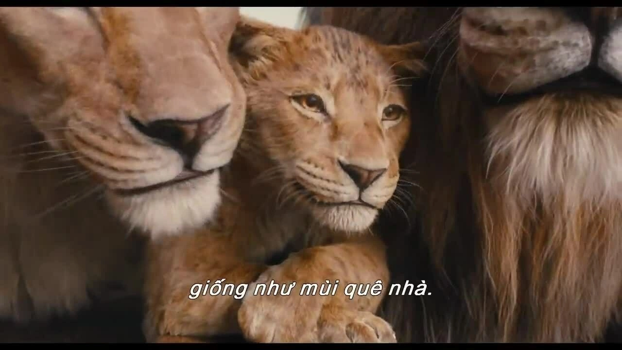 Trailer 'Mufasa: The Lion King'