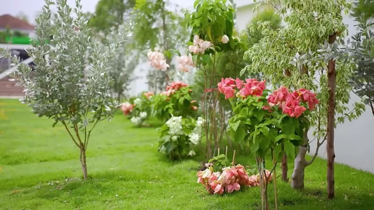 Push Puttichai trồng nhiều loại cây, hoa