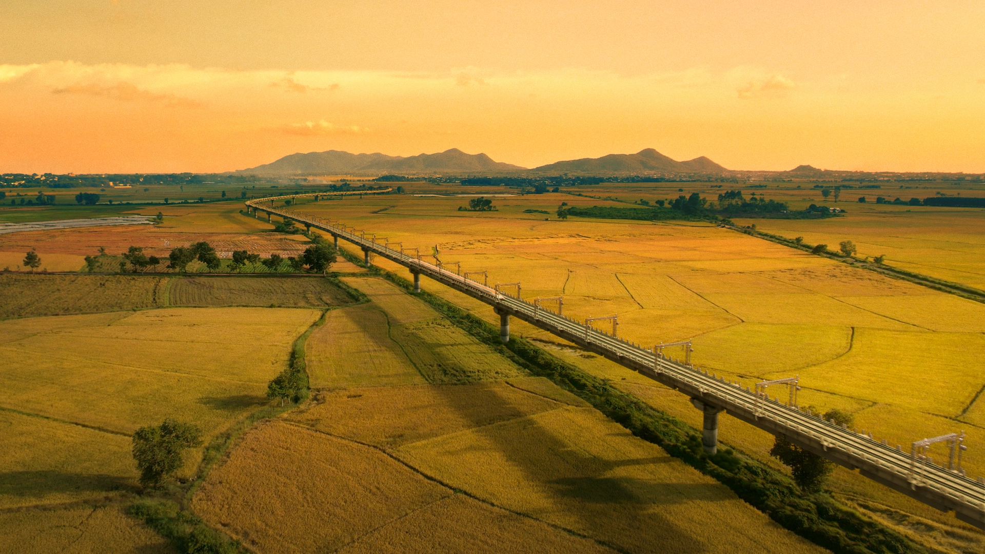 MV "Made In Vietnam"