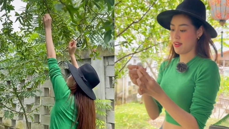 Hoa hậu Khánh Vân khám phá vườn trái cây của Trường Giang
