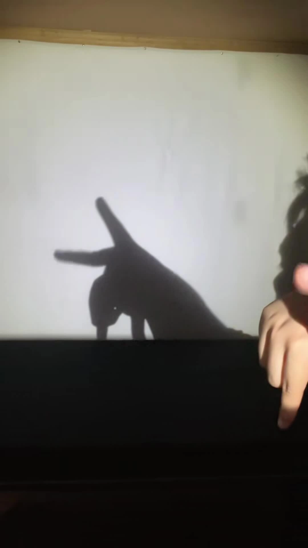 Shadow Ace biểu diễn "Not Like Us" của Kendrick Lamar