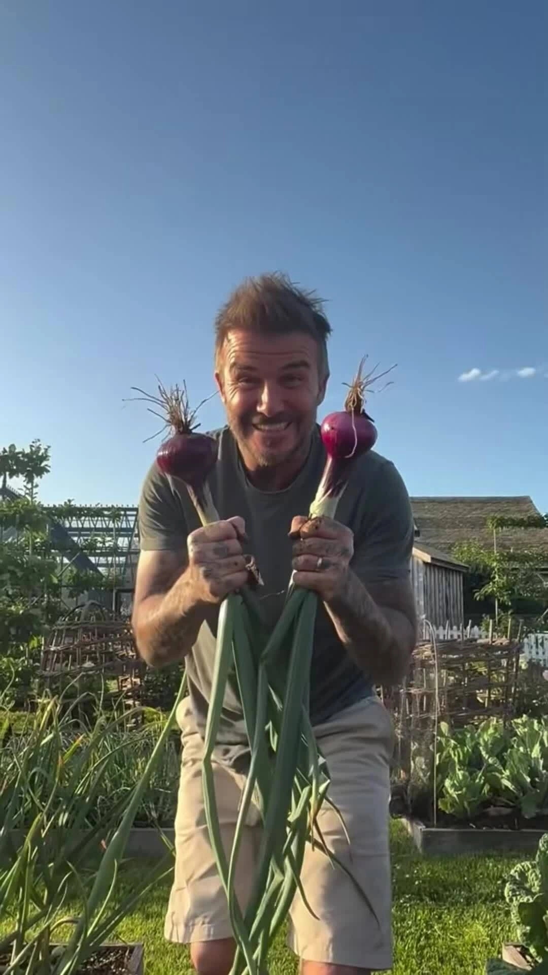 David Beckham và vợ trong vườn rau
