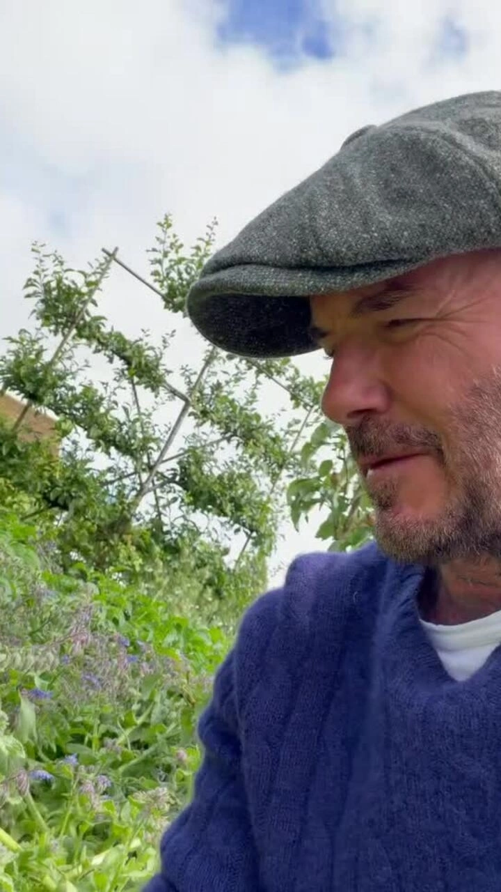David Beckham thăm vườn dâu tây