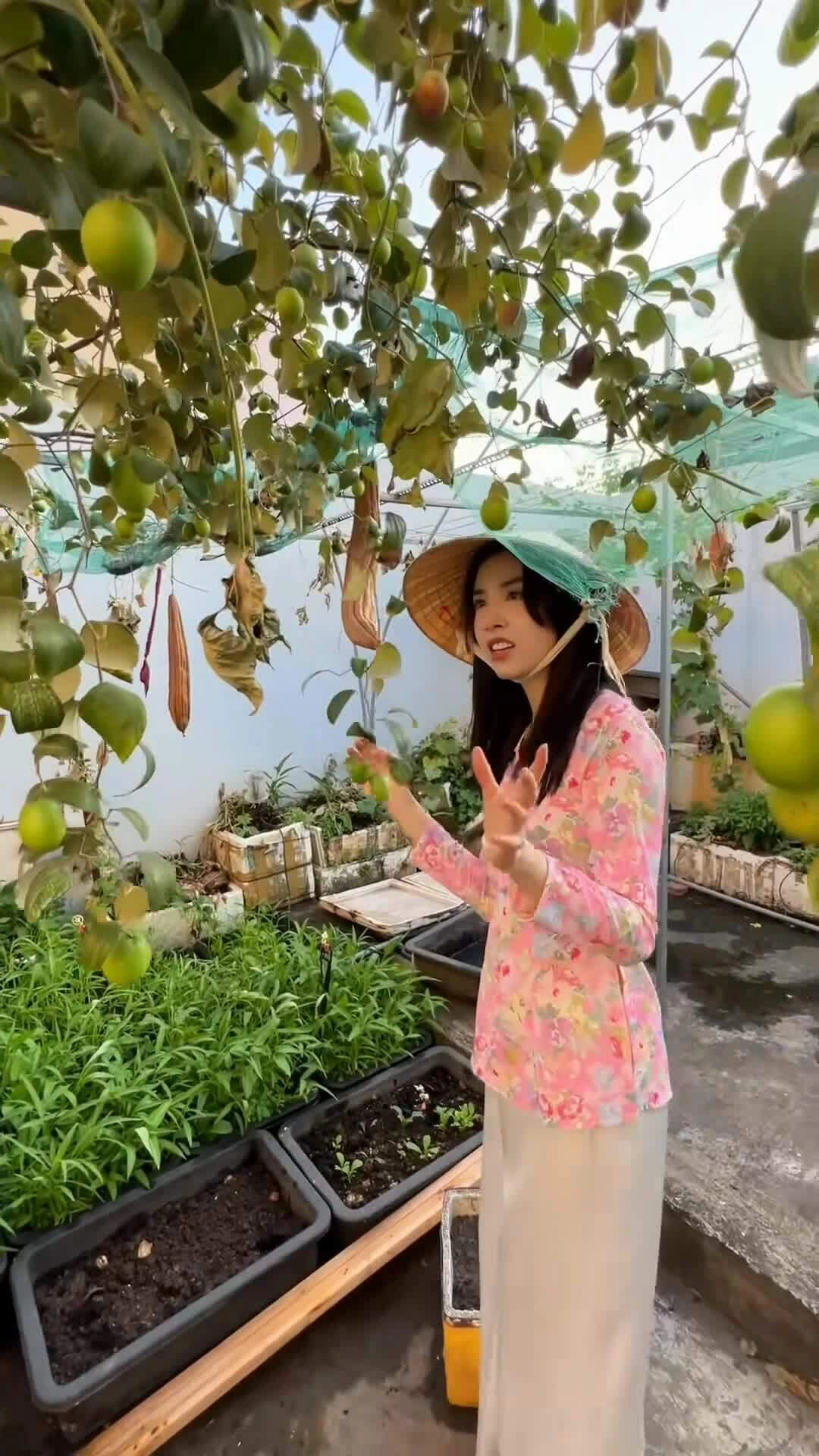 Thúy An thăm vườn trên sân thượng lần cuối trước khi cải tạo