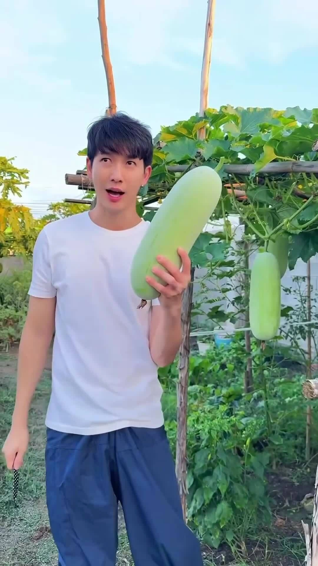 'Hoàng tử trong mơ' Thái Lan thu hoạch trứng, các loại rau