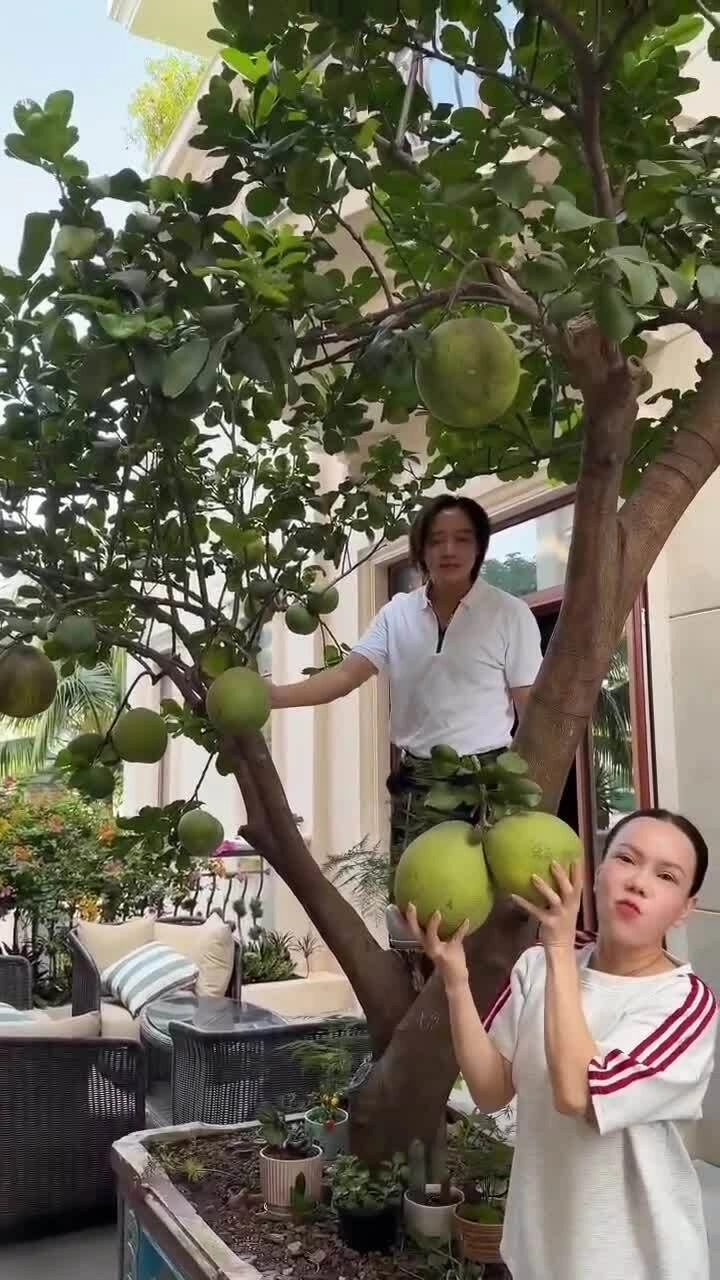 Cuộc sống của vợ chồng Việt Hương tại TP HCM