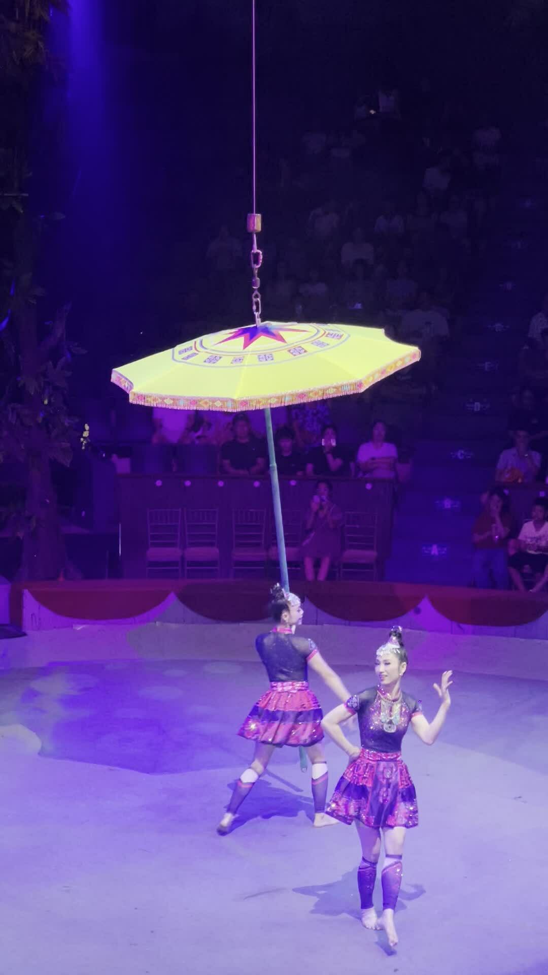 Tiết mục đu dây trong show 'Hào khí Việt Nam'