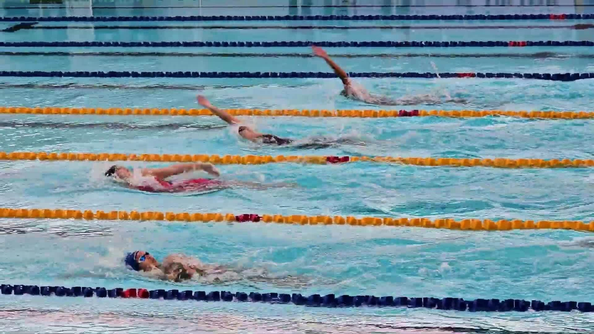 Kình ngư đập đầu vào thành bể vì lỗi đặt cờ ở SEA Games 33