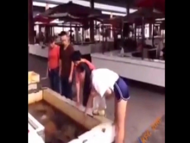 Người đẹp cắm đầu vào bể cá vì ôtô lùi ẩu
