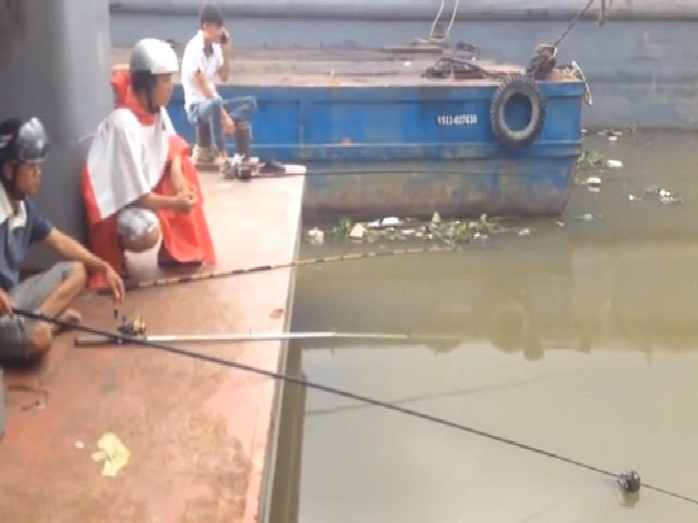 Ba 'sát thủ' giật cá trê liên tục trên sông Sài Gòn