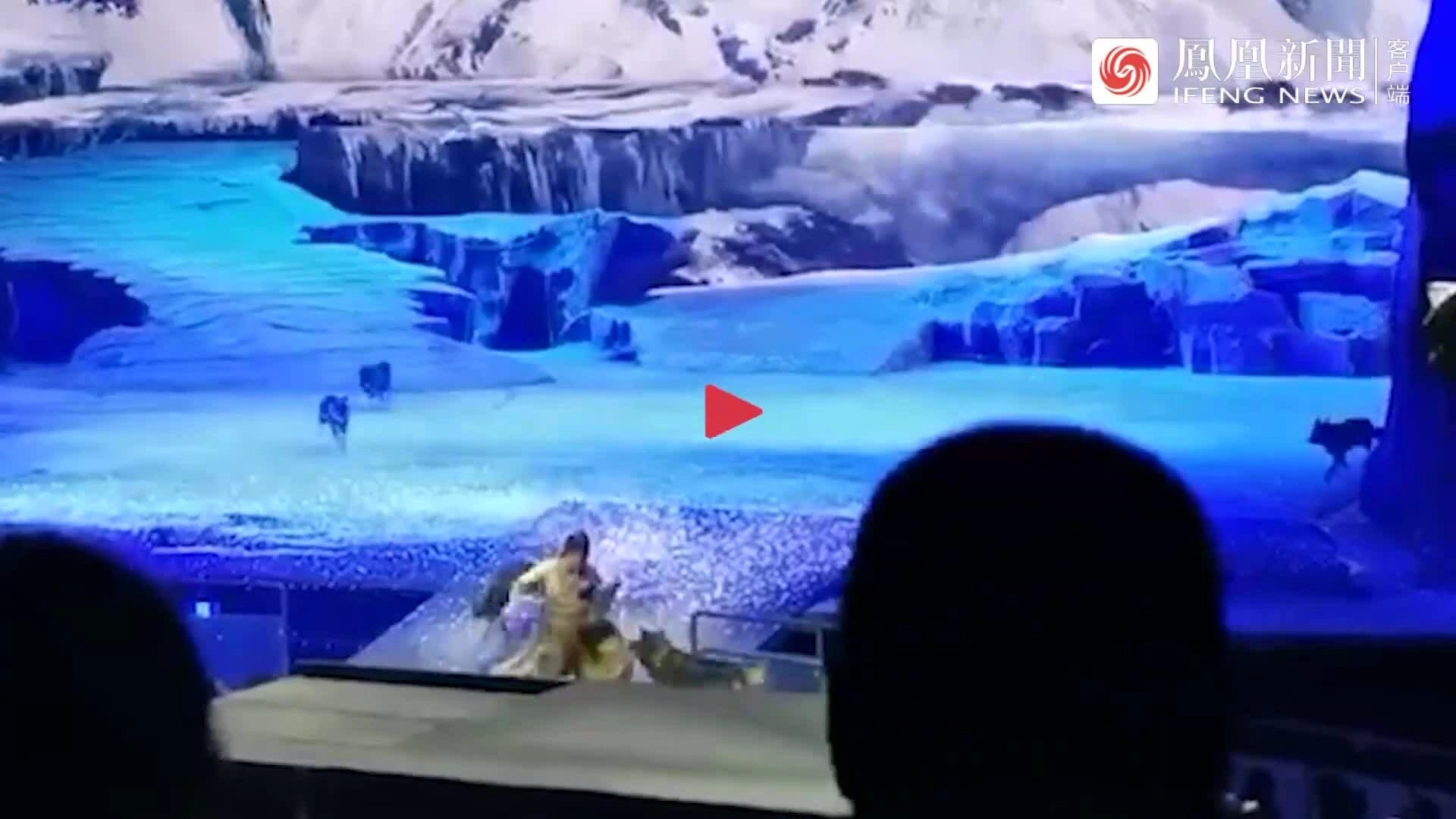 Chó sói rượt đuổi diễn viên ngay trên sân khấu