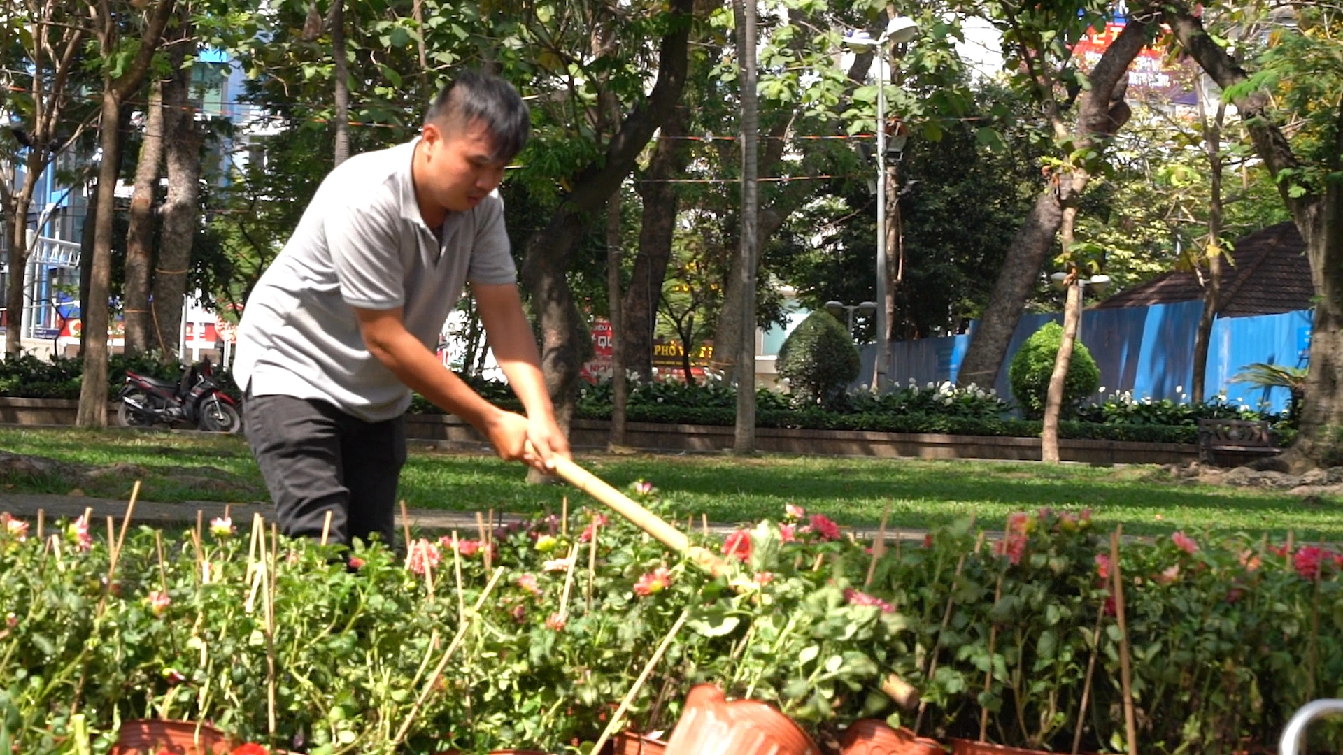 Tiểu thương đập nát hoa trưa ngày 30 Tết