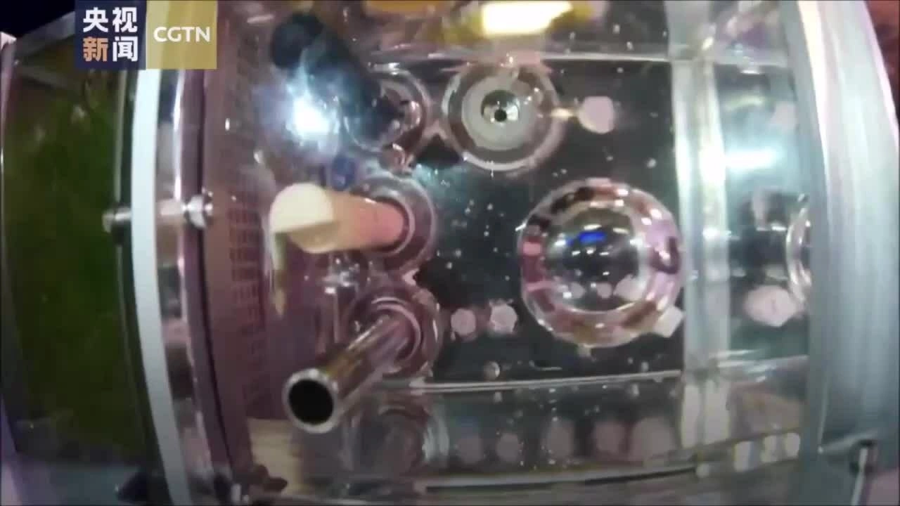 Đàn cá vẫn sống sau 1 tháng trên trạm vũ trụ Trung Quốc