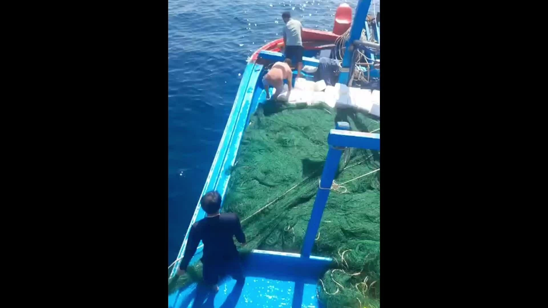 Tàu cá bị đâm chìm gần Mũi Điện