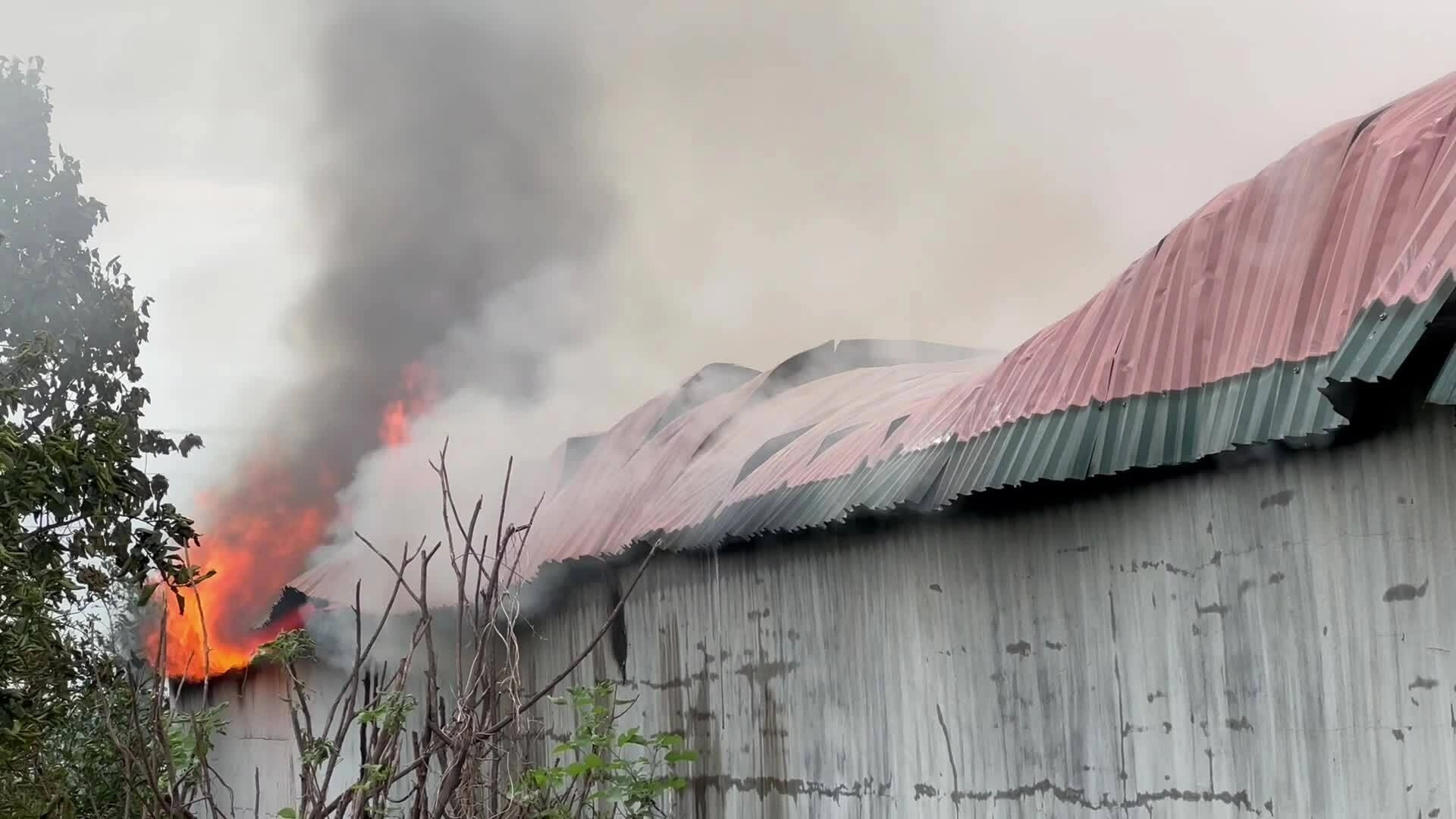 Xưởng mây tre đan ngoại thành bốc cháy ngùn ngụt