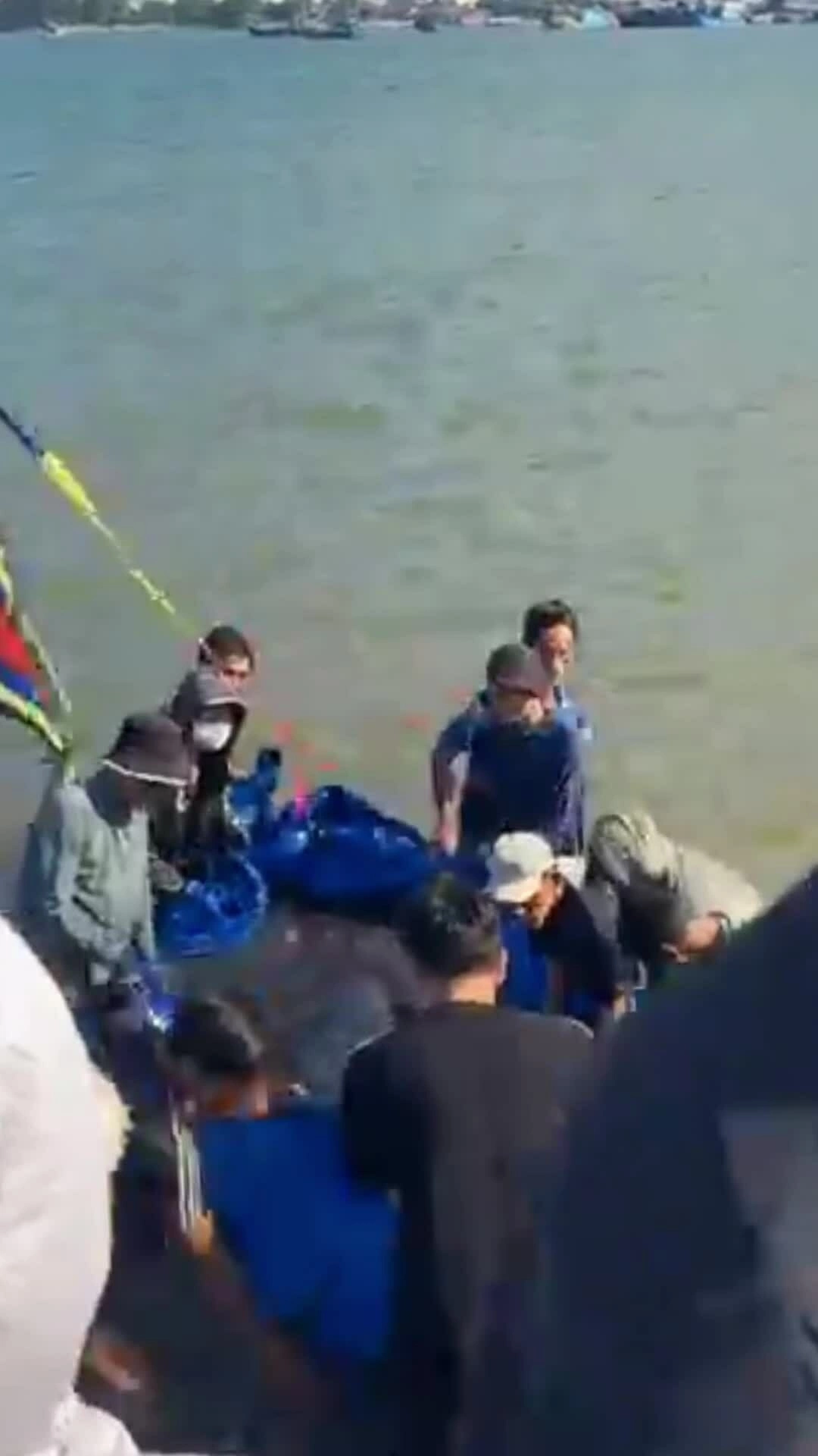 Cả làng khiêng xác cá voi dài 3m lên bờ