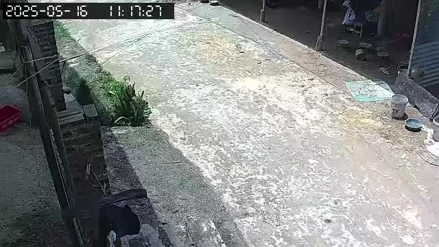 Video động đất