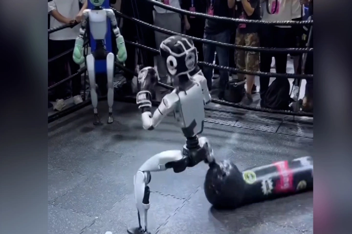 Những sự cố vụng về của robot hình người