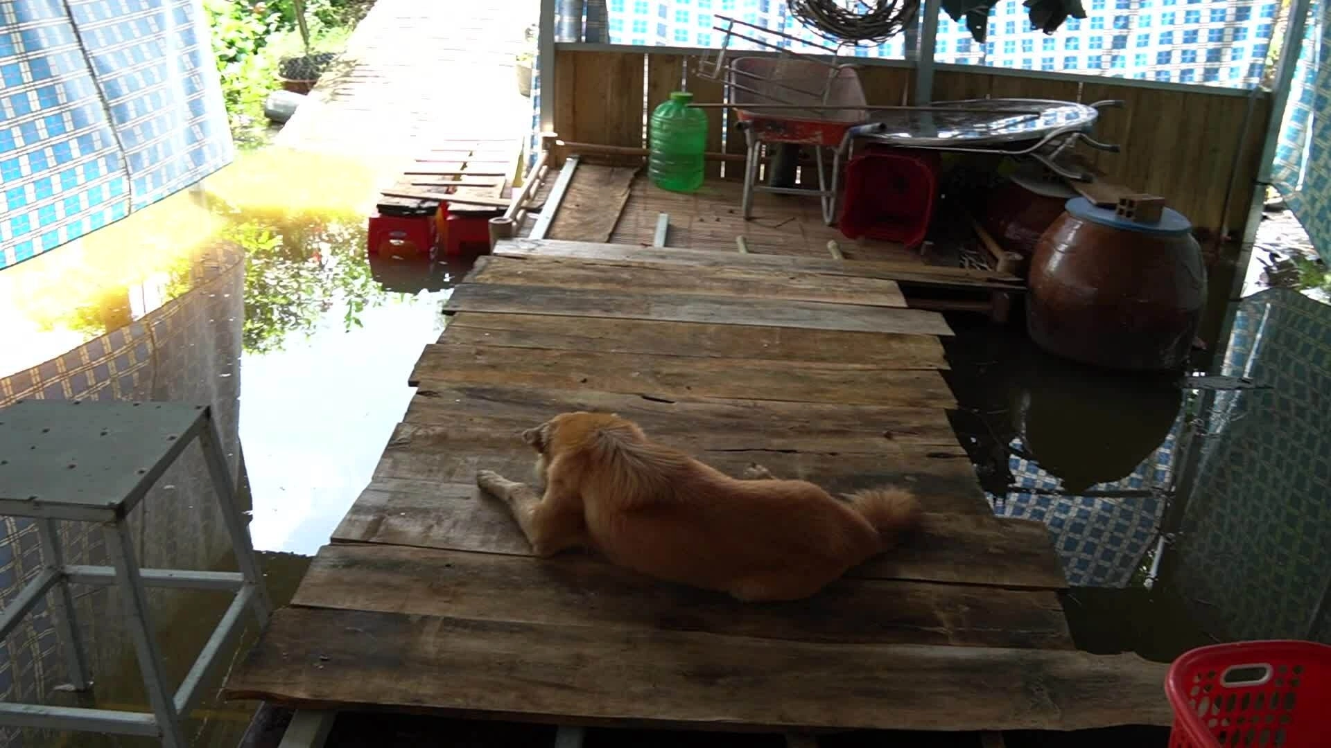lũ đồng tháp mười