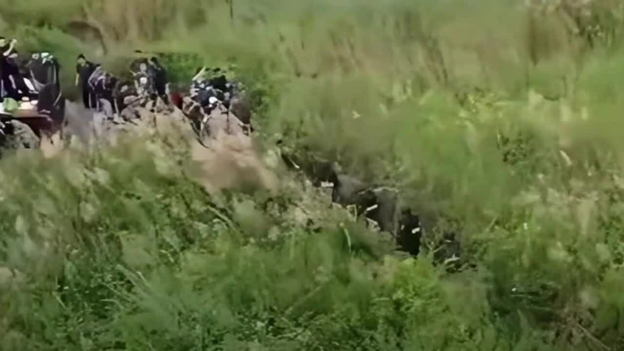 Cảnh sát bay flycam truy tìm tên cướp có súng trốn trong đồng cỏ