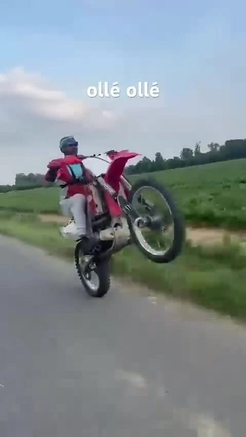 Chân dung nghi phạm cướp bảo tàng Louvre