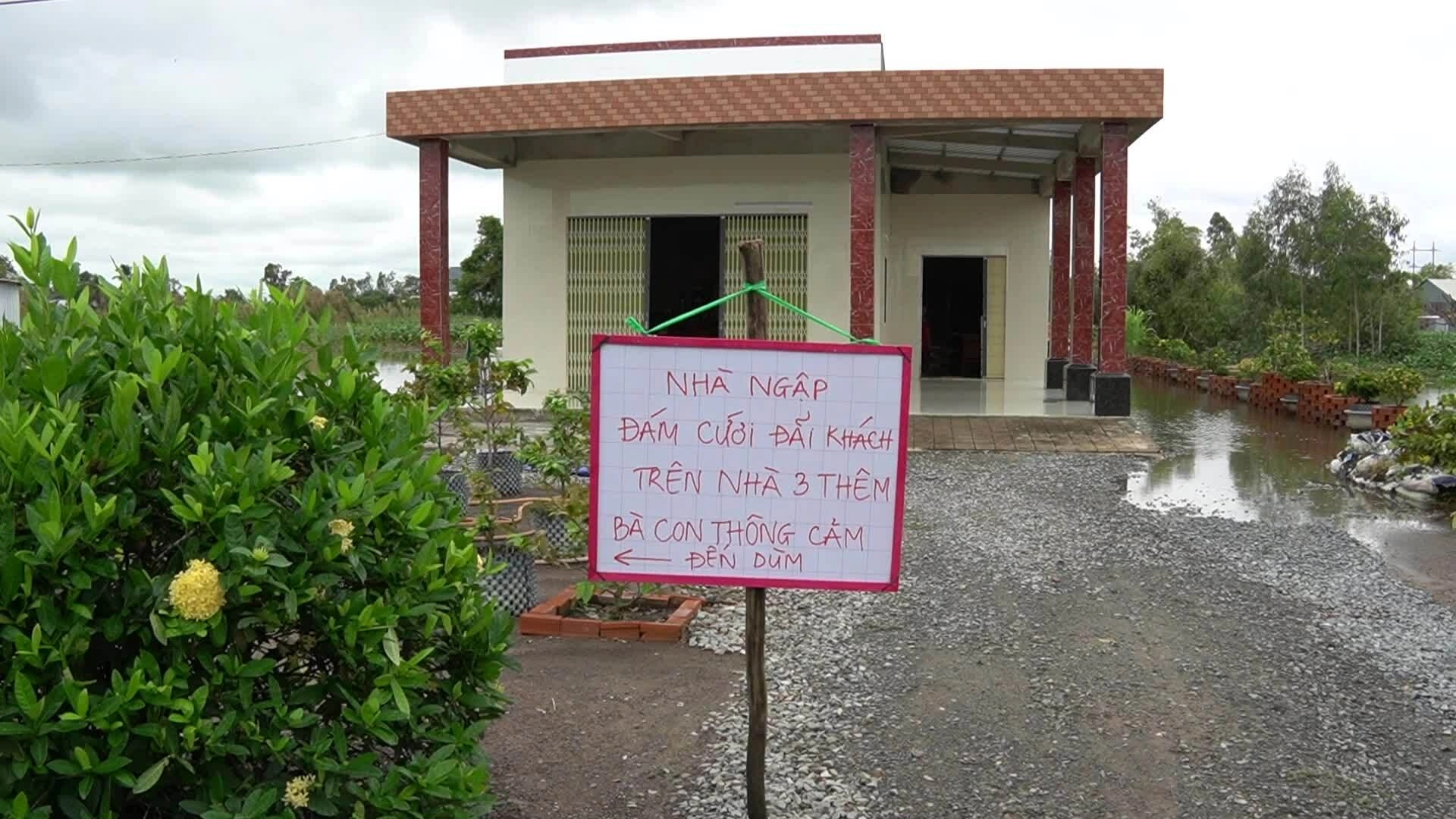 Lũ miền Tây ngày càng ít phù sa, cá tôm cạn kiệt