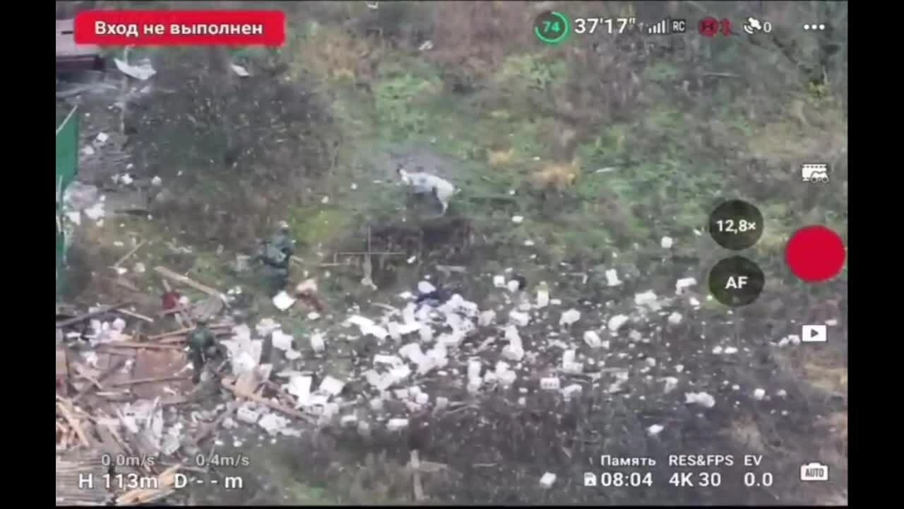 Hai binh sĩ Nga tránh được mìn nhờ một con lợn