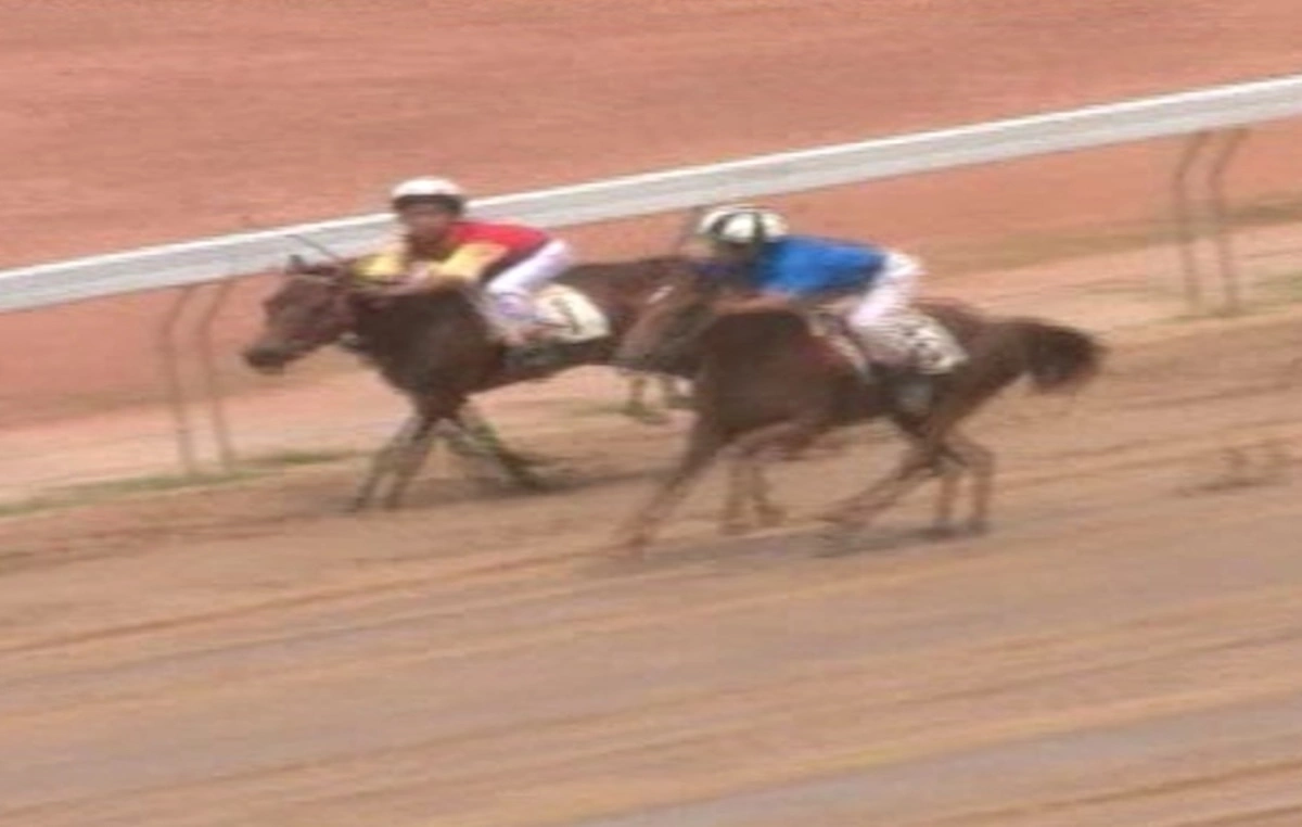 Một số lần nước rút về nhất của ngựa Lục Nhất Phụng