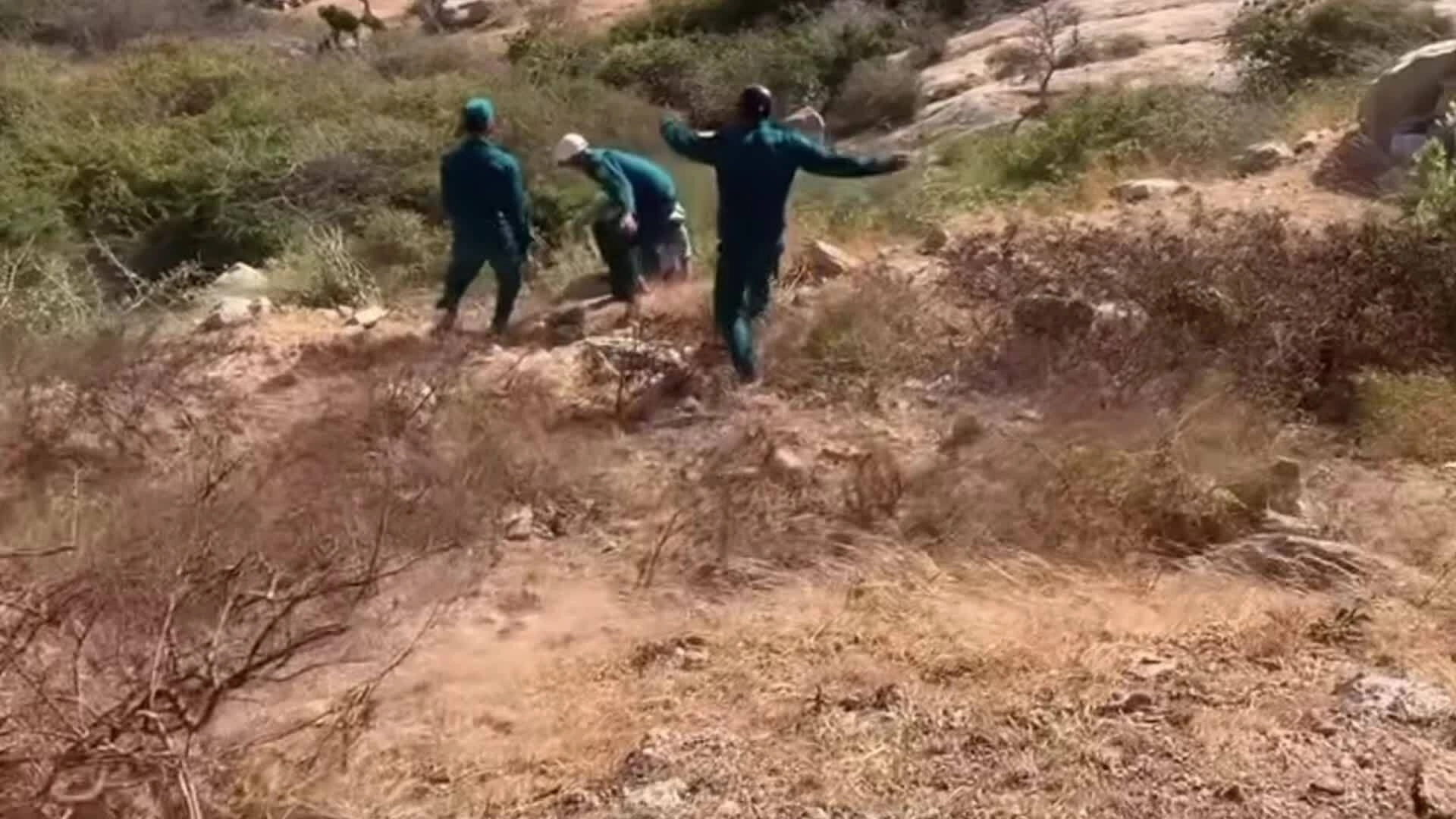 Ôtô rơi xuống vực, ba người sống sót