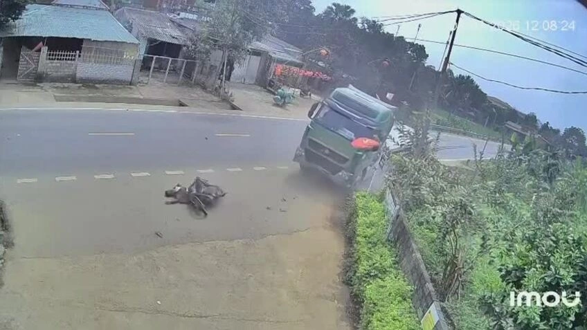 Xe máy lao thẳng vào đầu xe tải trên đường không bóng người