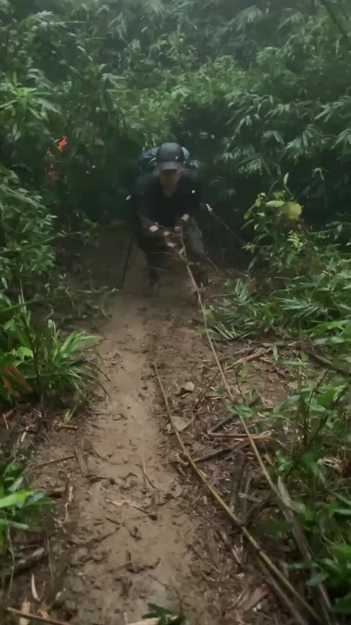 Leo núi