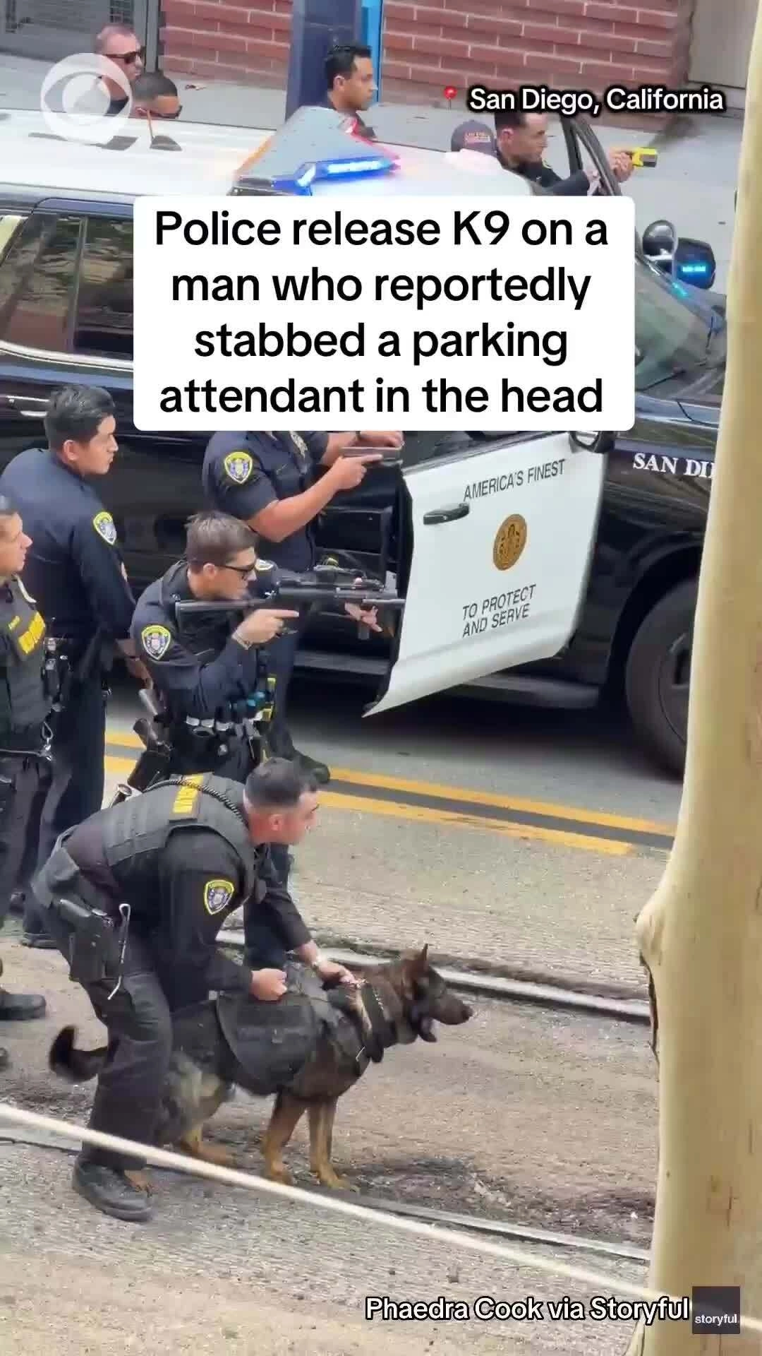 Khoảnh khắc chó nghiệp vụ Mỹ không chế nghi phạm