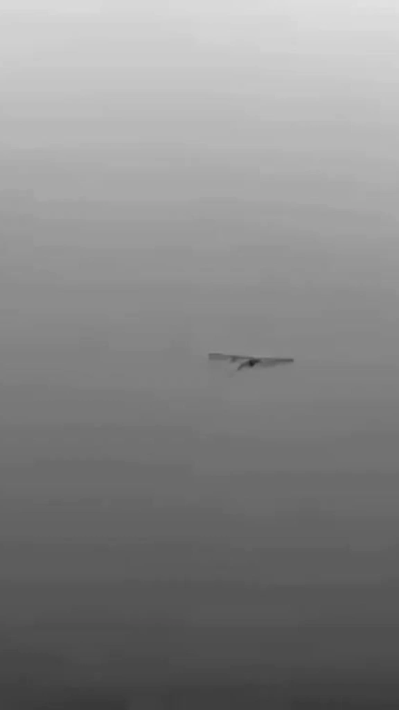 Ukraine đăng video UAV 'phóng rocket vào tổ phòng không Nga'