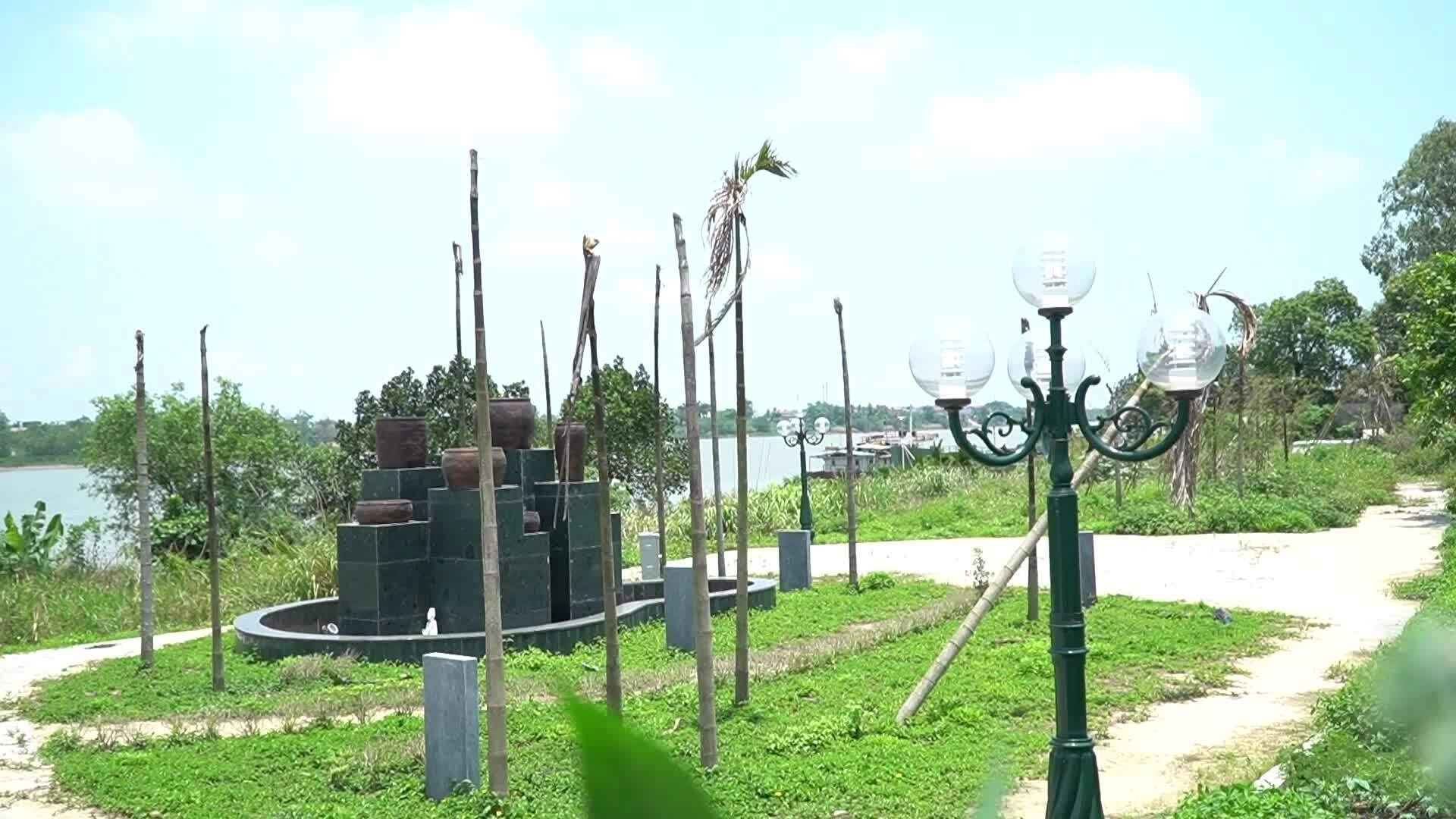 Cây xanh chết hàng loạt ở công viên tưởng niệm 64 giáo viên, học sinh