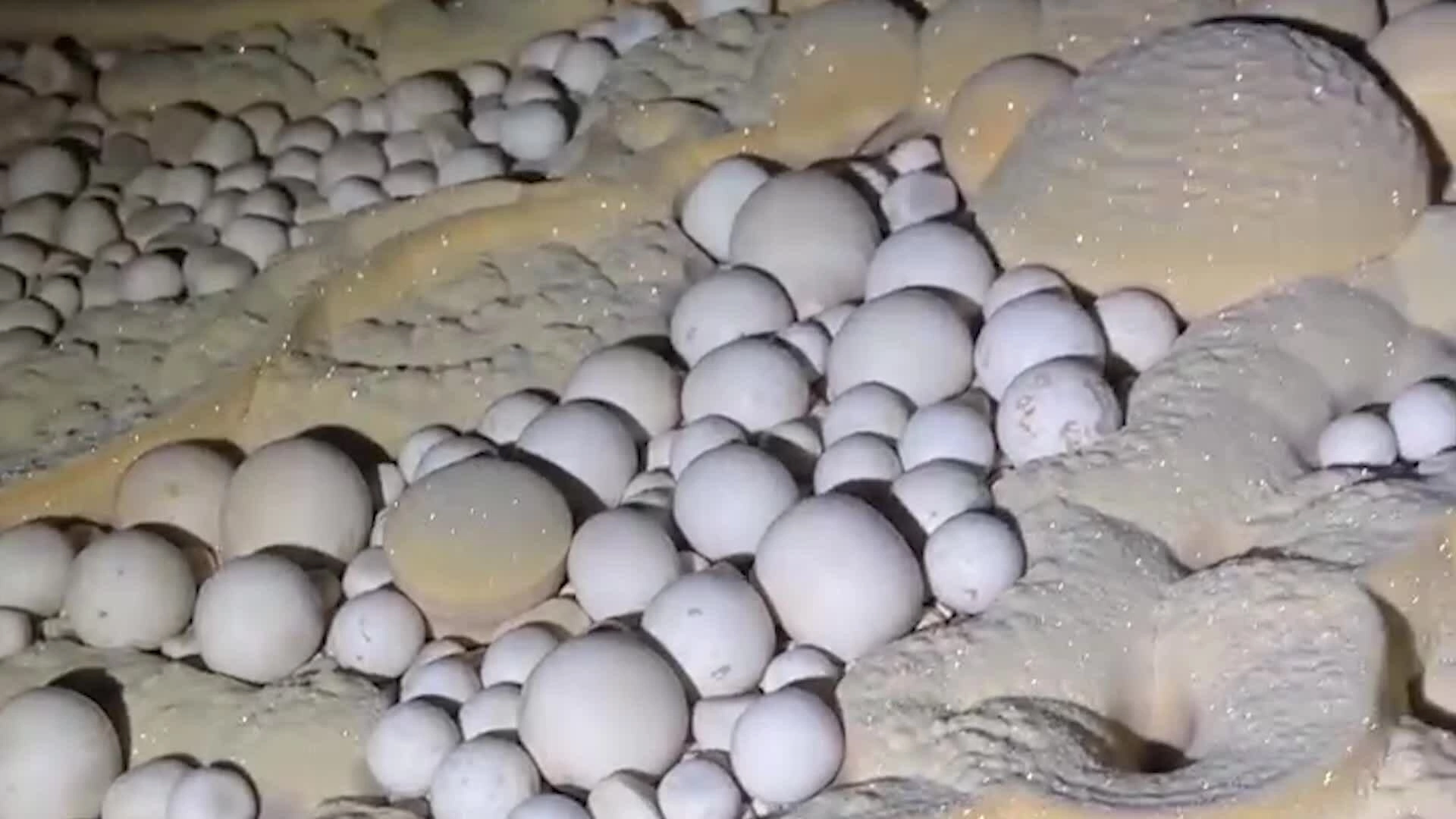Hang động chứa hàng trăm "quả trứng" ở Phong Nha – Kẻ Bàng