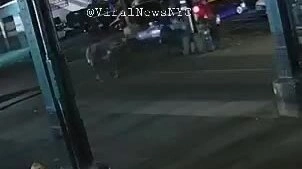 New York điều tra video nhóm người bí ẩn chui lên từ ống cống