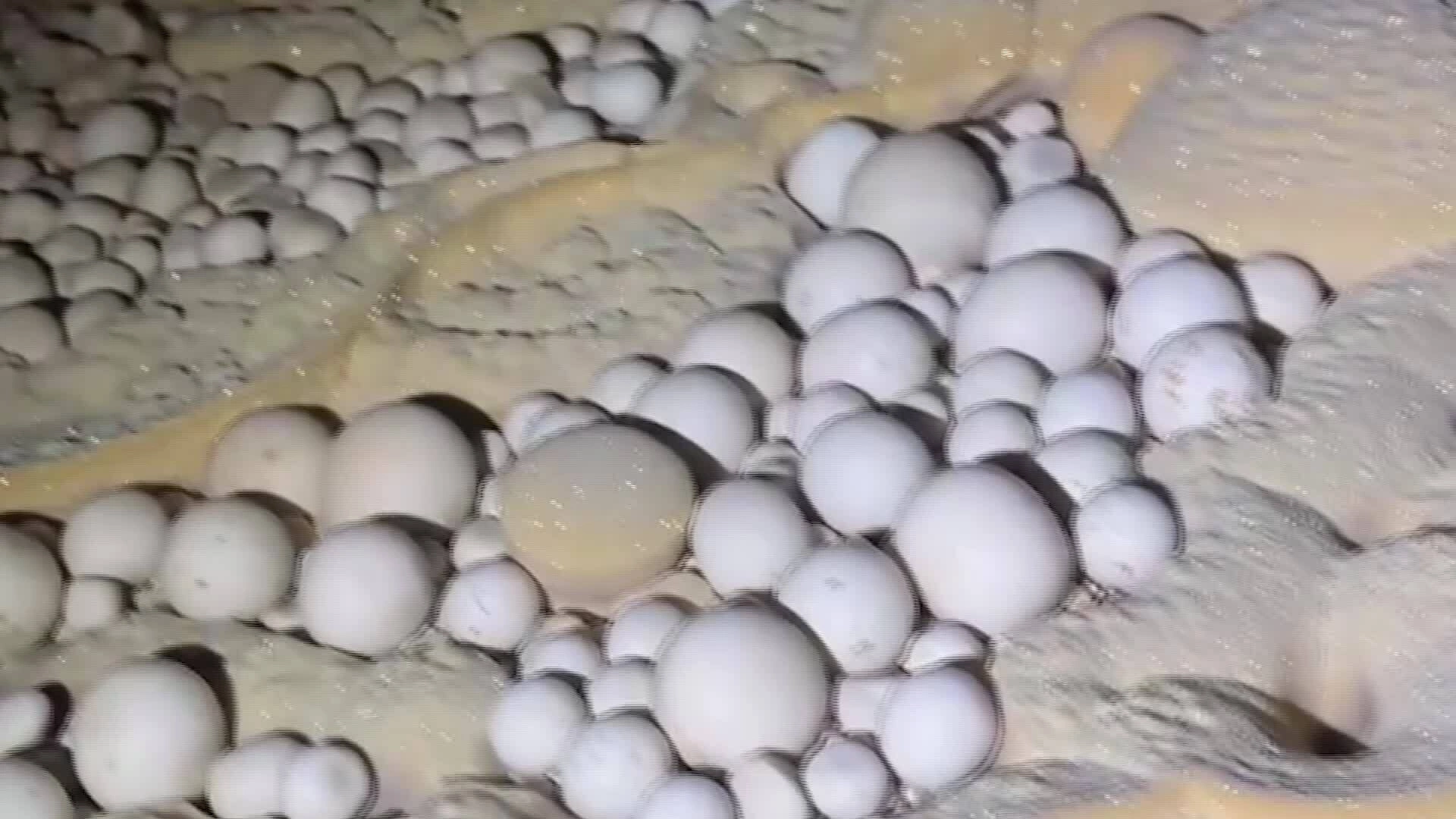 Ngọc động được hình thành từ giọt nước qua hàng ngàn năm