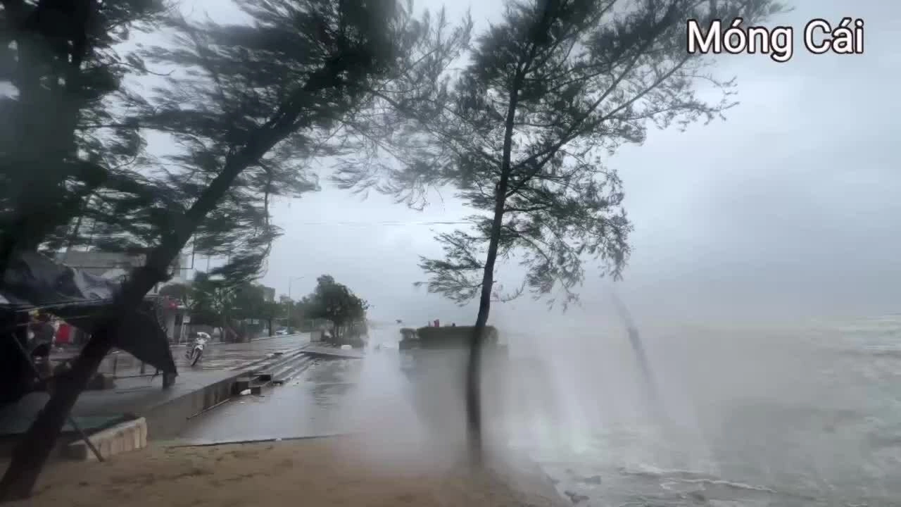Bão Maysak đổ bộ vào Móng Cái