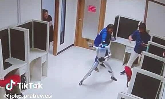 Robot hình người 'làm loạn' trong phòng thí nghiệm được dàn dựng