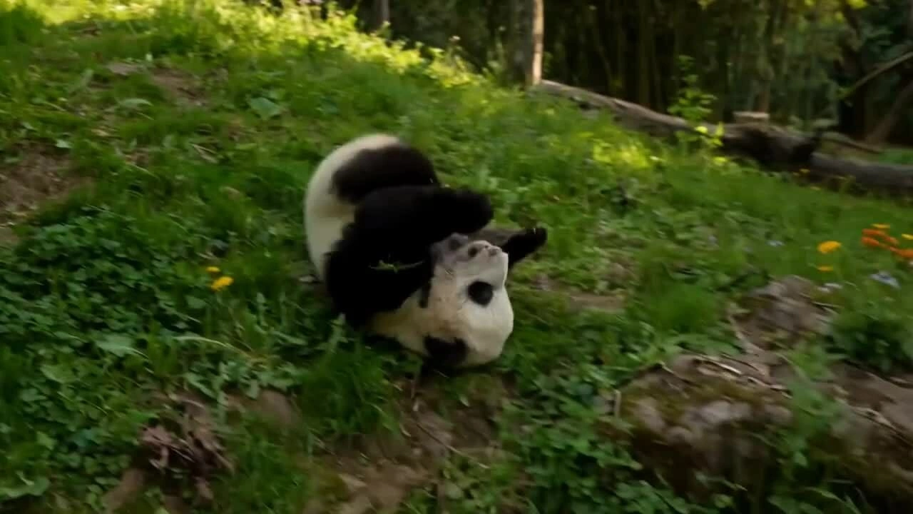 Meta ra mô hình AI tạo ảnh mới