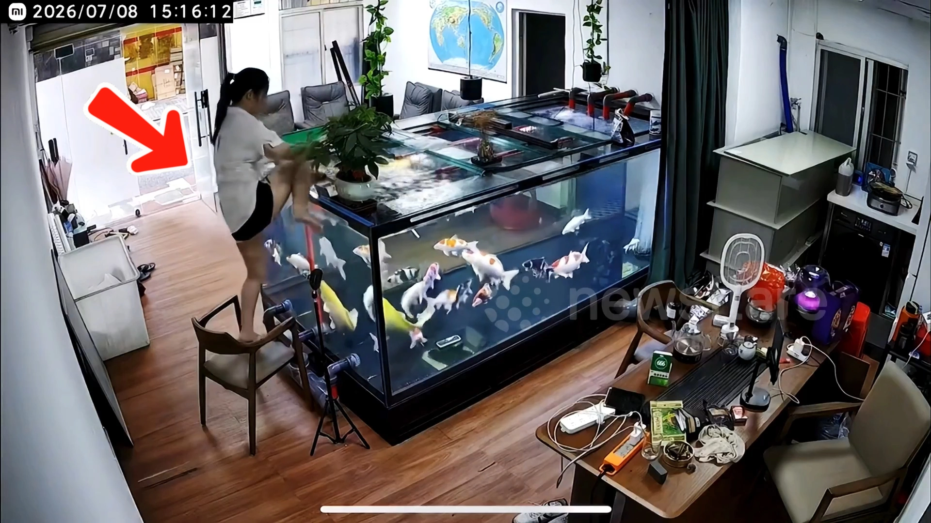 Người phụ nữ trèo vào bể cá để nhặt điện thoại