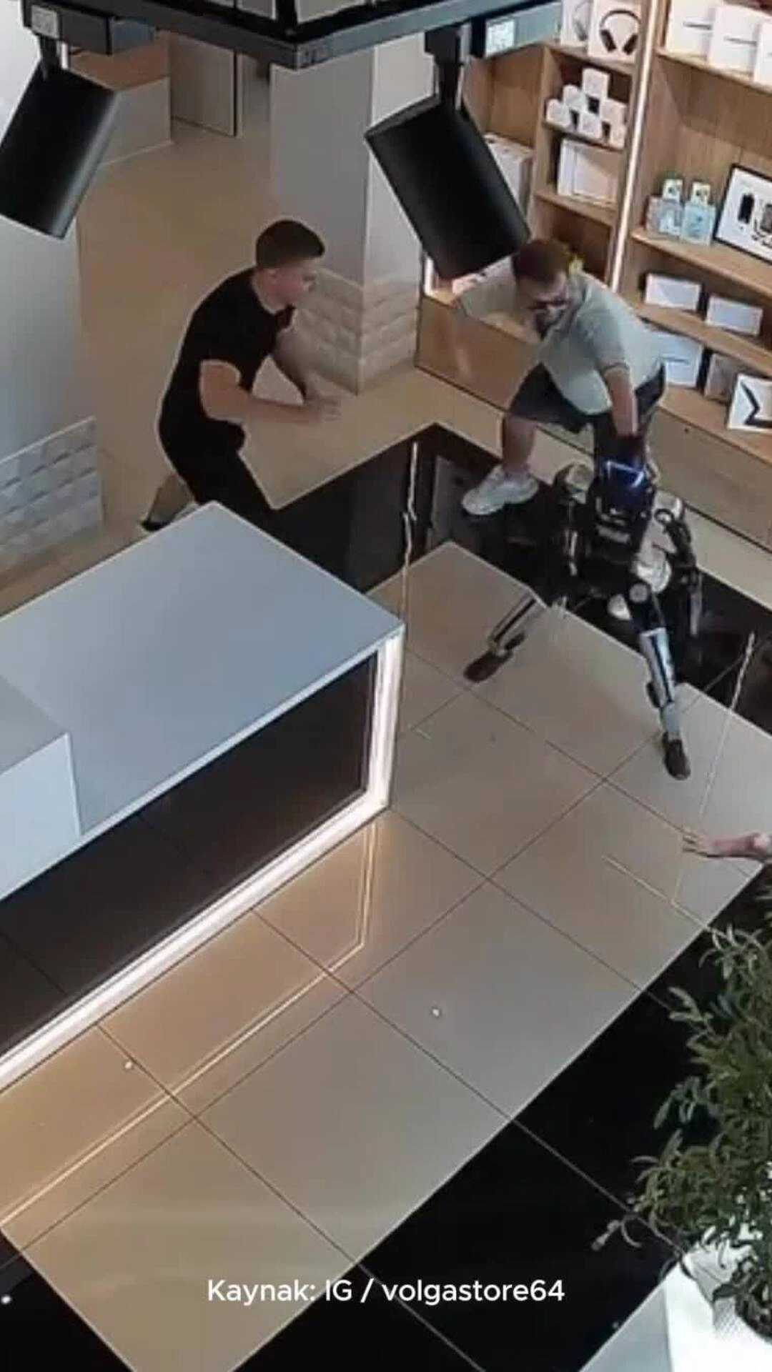 Robot hình người 'tấn công' khách khi bị đẩy